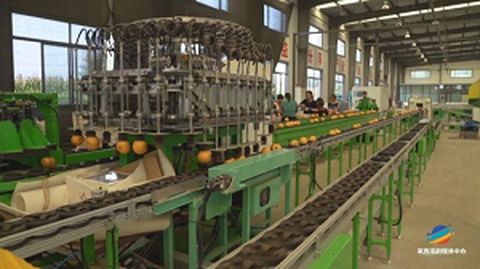 Thawj Fruit Standardization Origin Service Forum